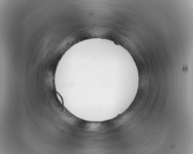 X0000089830575200707262026