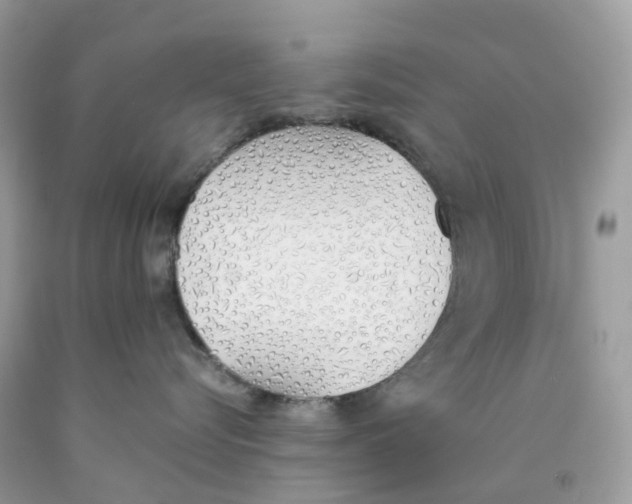 X0000089830576200707262026