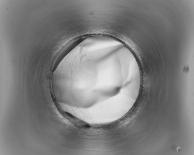 X0000089830577200707262025
