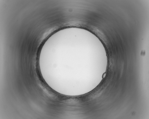 X0000089830578200707262025