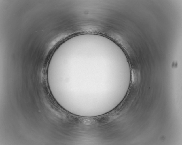 X0000089830579200707262025