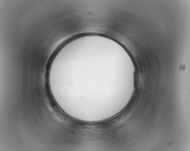 X0000089830580200707262025