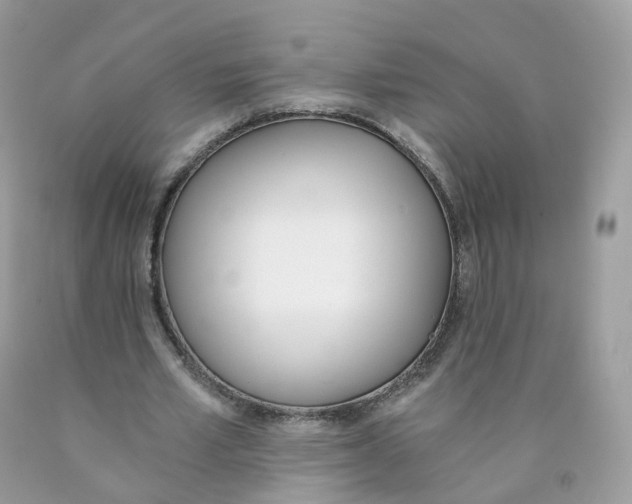 X0000089830581200707262025