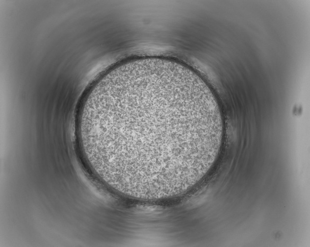 X0000089830582200707262025