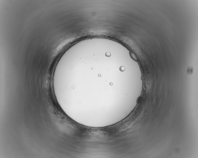 X0000089830583200707262025