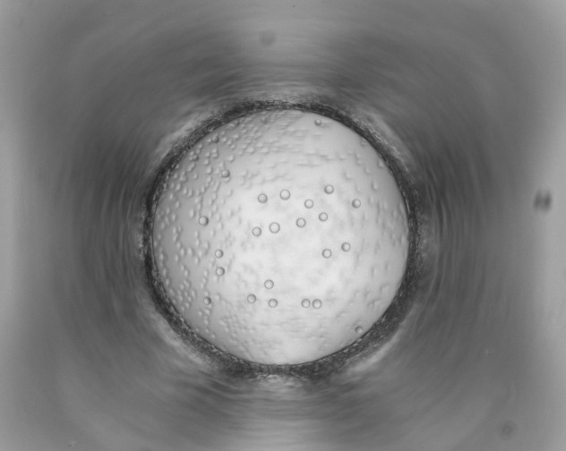 X0000089830585200707262025