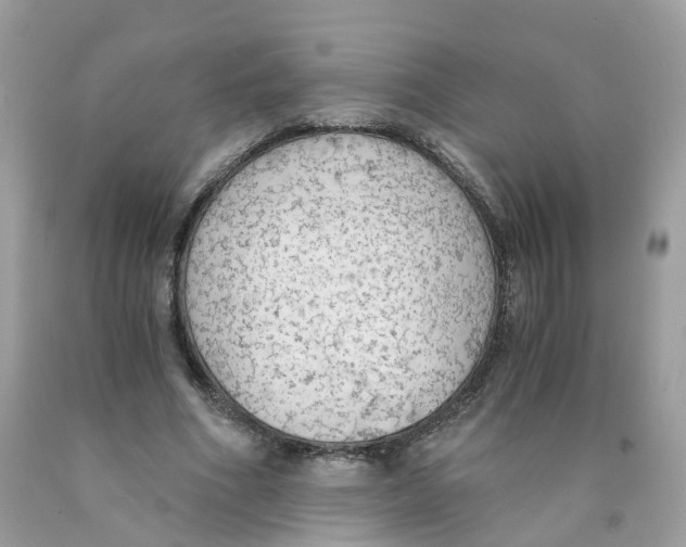 X0000089830586200707262025
