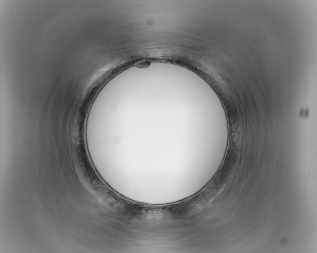 X0000089830587200707262025