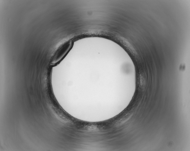 X0000089830588200707262025