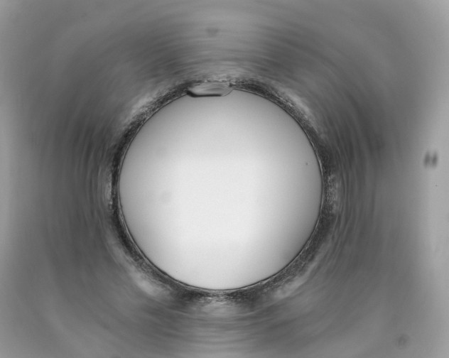 X0000089830589200707262025