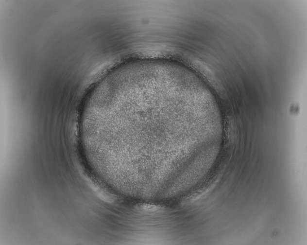 X0000089830590200707262025