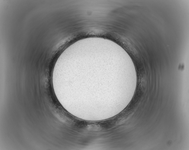 X0000089830591200707262025