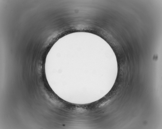 X0000089830592200707262025