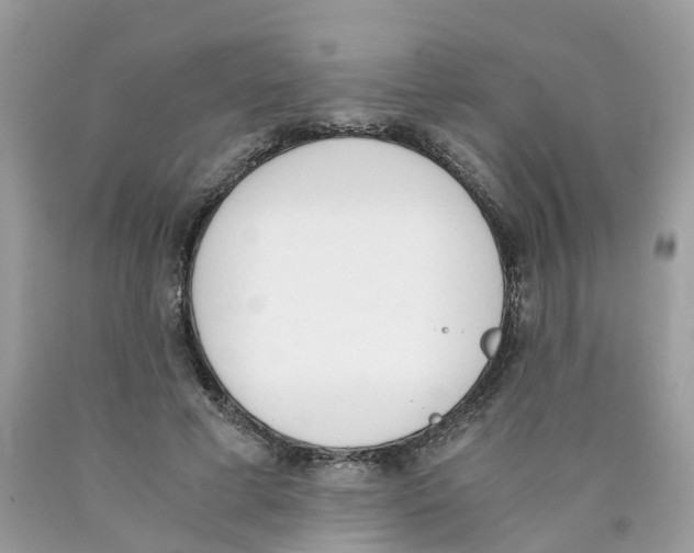 X0000089830593200707262025