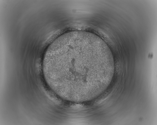 X0000089830594200707262025