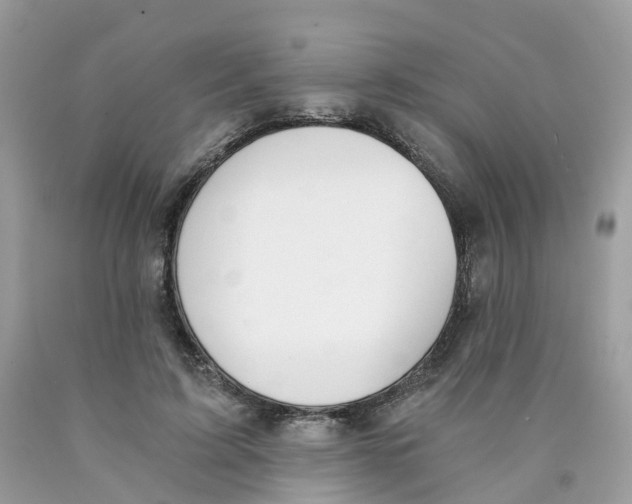 X0000089830595200707262025