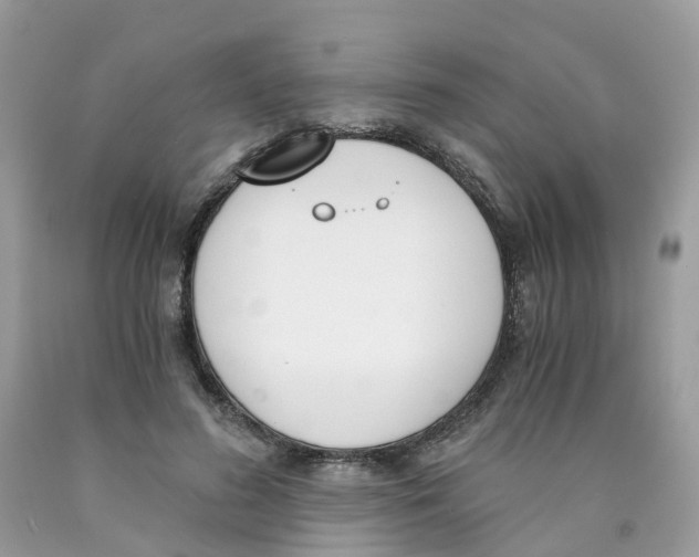 X0000089830596200707262025