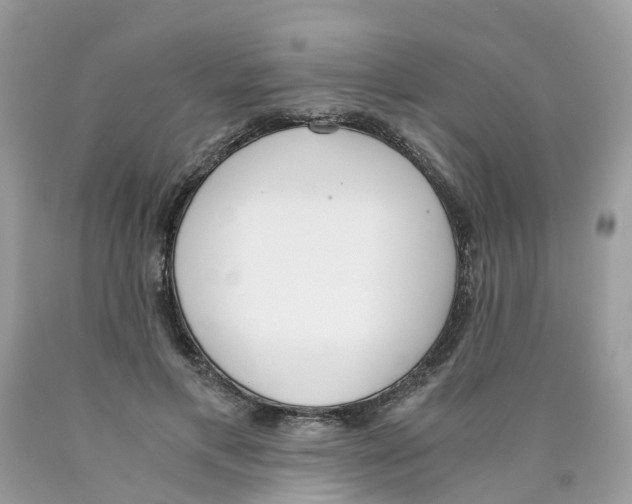 X0000089830597200707262025