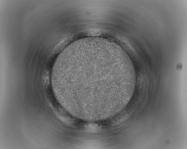 X0000089830598200707262025
