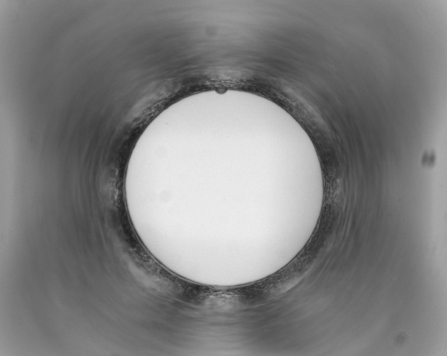 X0000089830599200707262025