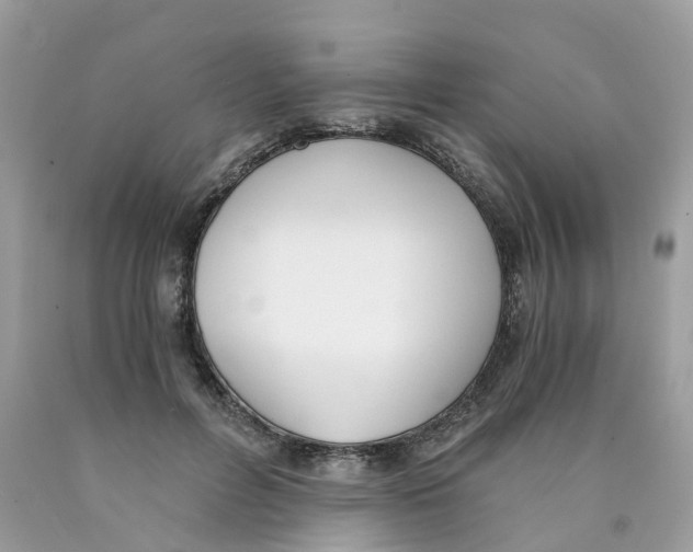X0000089830600200707262025