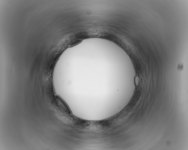 X0000089830601200707262025