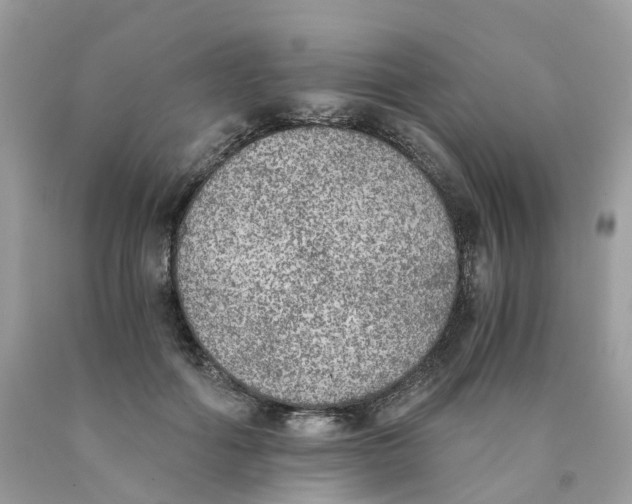 X0000089830602200707262025