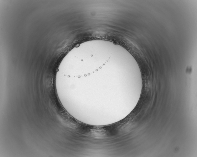 X0000089830603200707262025