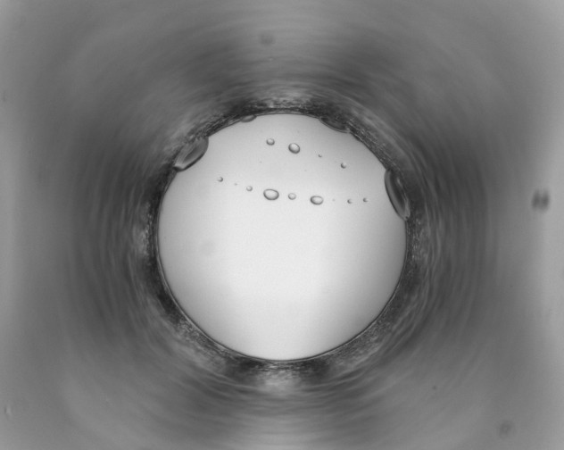 X0000089830604200707262025