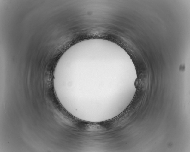 X0000089830605200707262025
