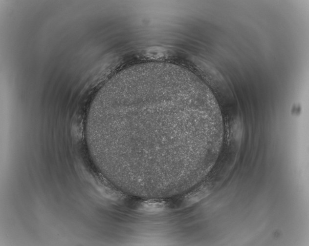 X0000089830606200707262025