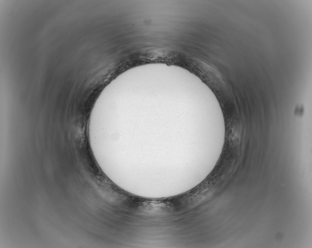 X0000089830607200707262025