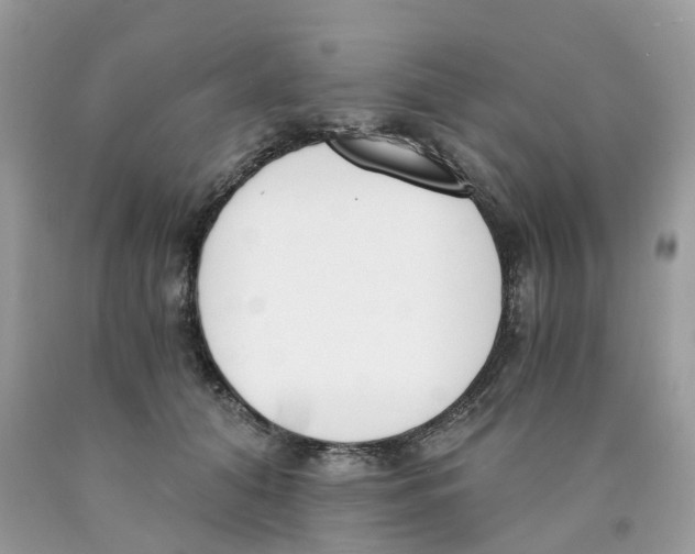 X0000089830608200707262025