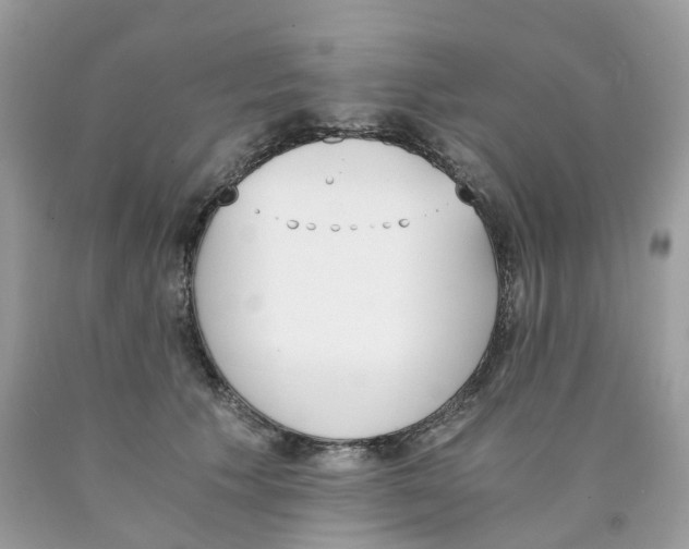 X0000089830609200707262025