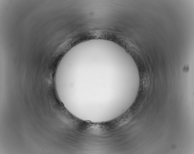 X0000089830611200707262025