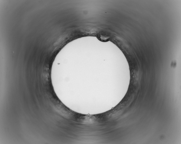 X0000089830612200707262025