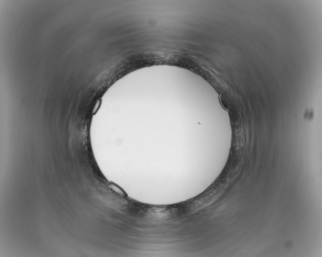 X0000089830613200707262025