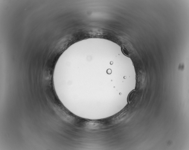 X0000089830614200707262025