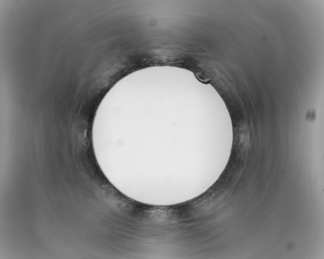X0000089830615200707262025