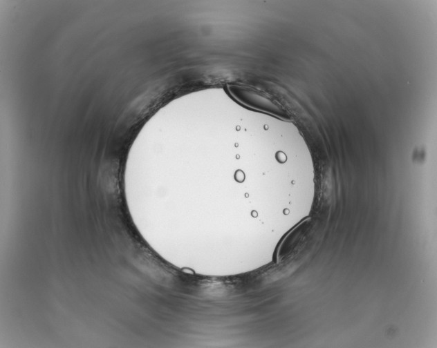 X0000089830616200707262025