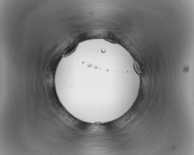 X0000089830617200707262025