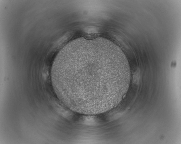X0000089830618200707262025