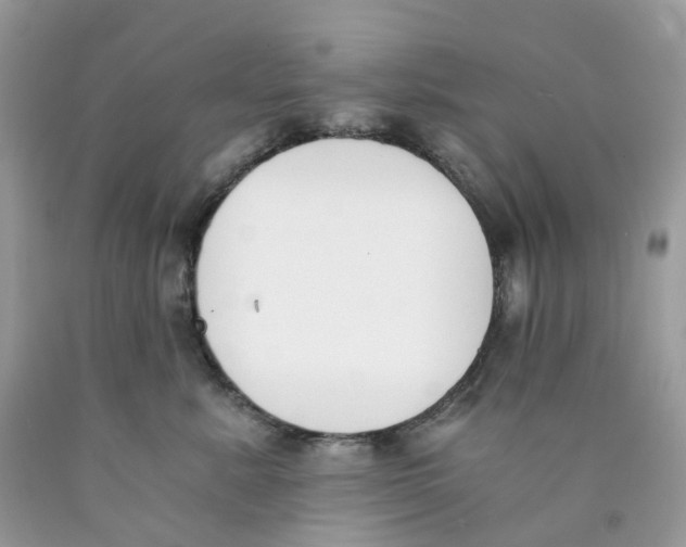 X0000089830619200707262025