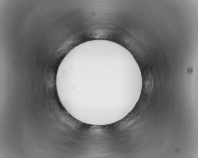 X0000089830620200707262025