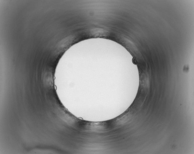 X0000089830622200707262025