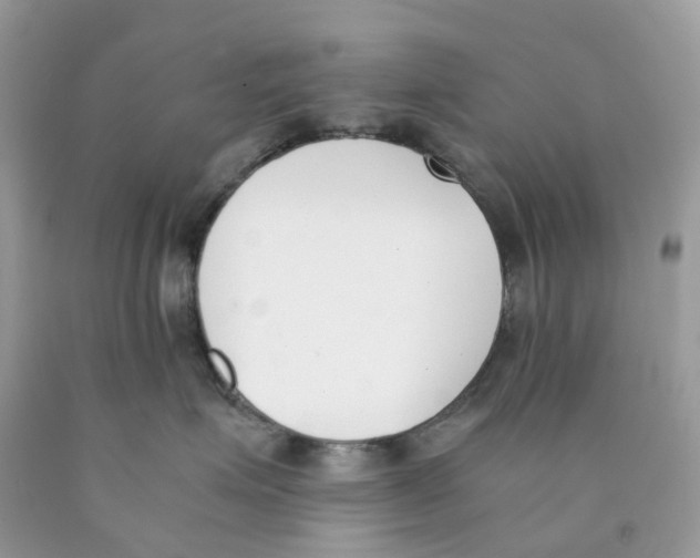 X0000089830623200707262025