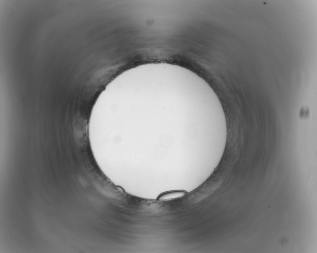 X0000089830624200707262025