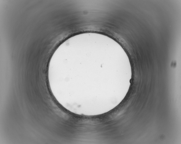 X0000089830625200707262024