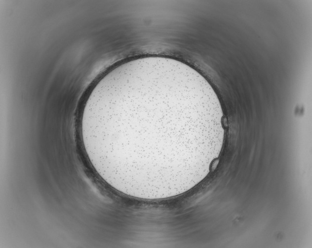X0000089830626200707262024