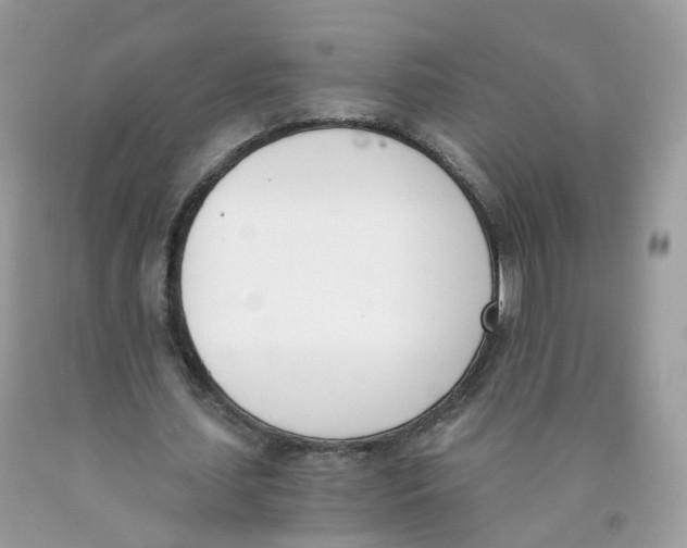 X0000089830627200707262024